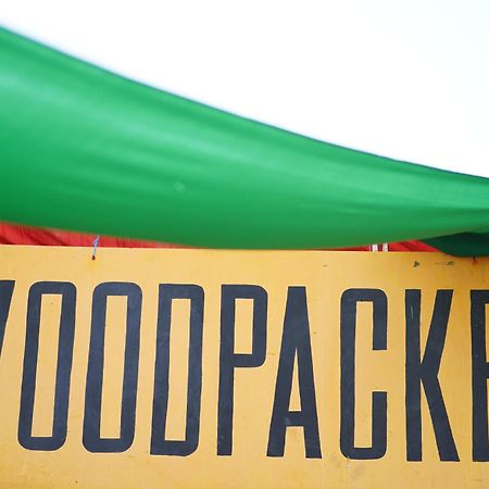 Woodpacker Hostel Auroville Pondicherry מראה חיצוני תמונה
